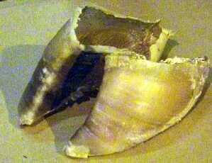 25 X Dugdale Davies Hoof Chews