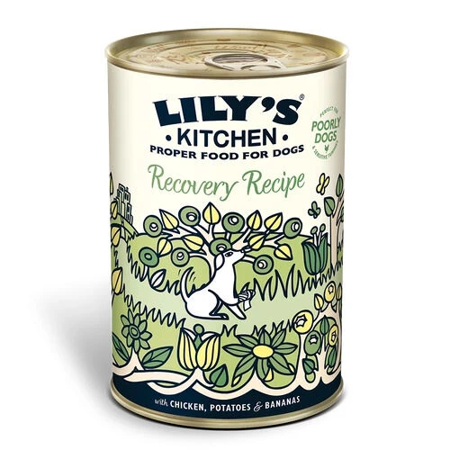 6 X Lily's Kitchen Dog Food Wet Can Recovery Recipe 400g