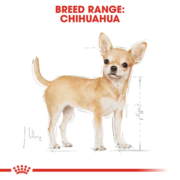 ROYAL CANINĀ® Chihuahua Adult Dry Dog Food - Image 3
