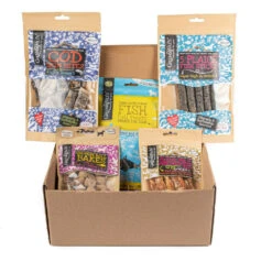 Fishy Gift Box For Dogs