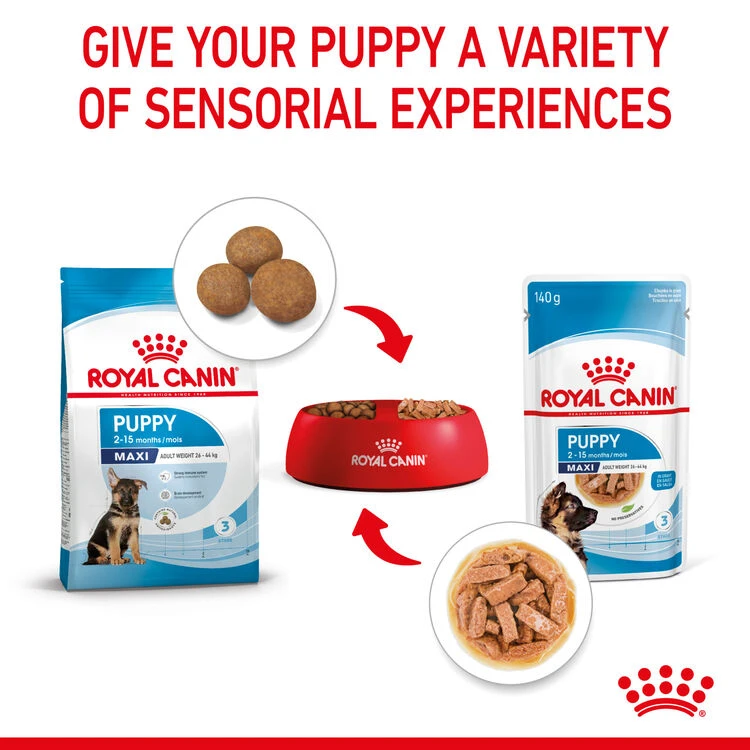 ROYAL CANINĀ® Maxi Large Breed Puppy In Gravy Wet Food - Image 7