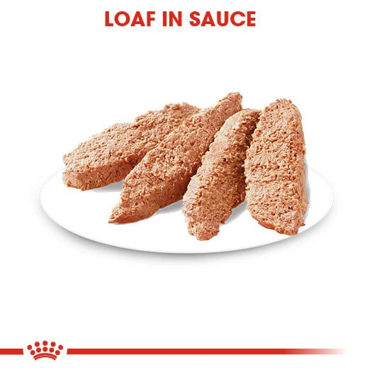 ROYAL CANINĀ® Sterilised Care Wet Pouches Adult Dog Food - Image 4